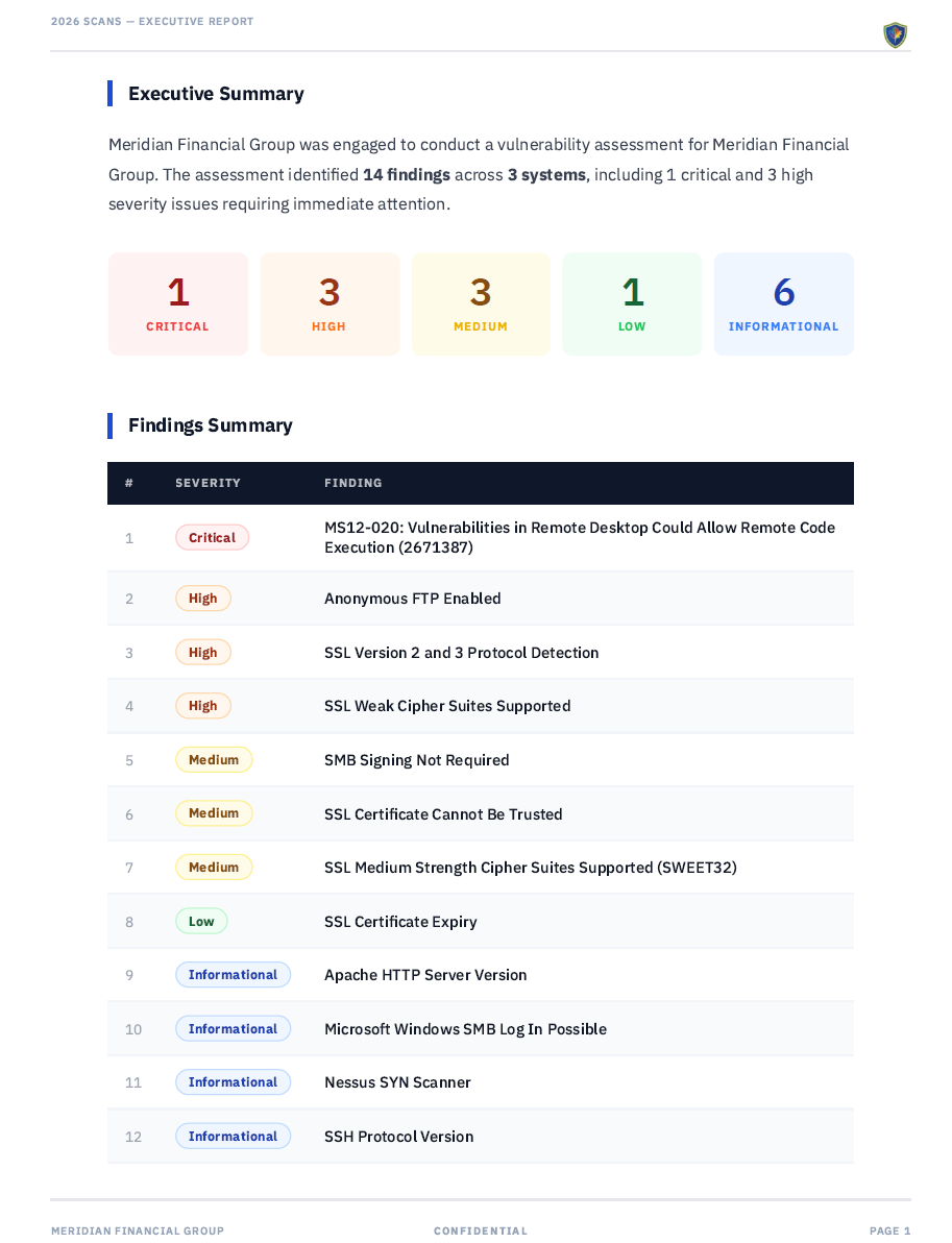 JuturnaReport generated PDF showing executive summary and detailed findings